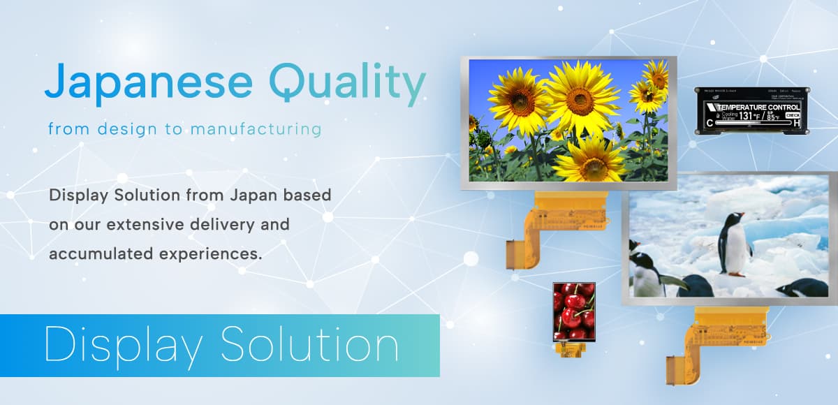Display Solution